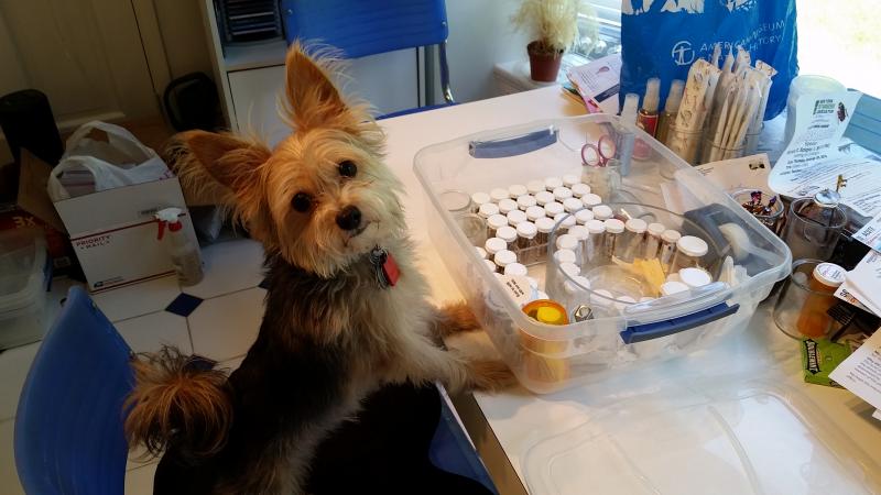 I'm ready for my lessons today. Yes, I smell bed bugs!